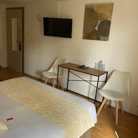 ホテル Cote Sud Leman 3*