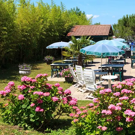 Hotel Cote Sud Leman
