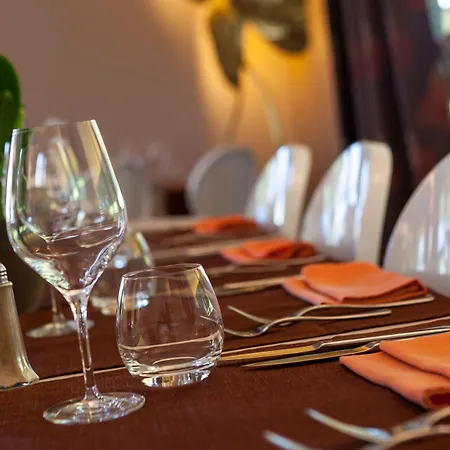 Cote Sud Leman Hotel 3*